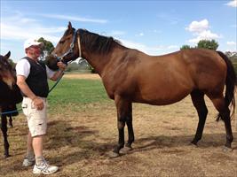 John with Black Cavier and All Too Hard's mum 'Helsinge'